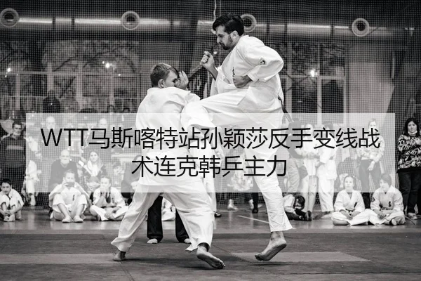 ma-si-ka-te-zhan-sun-ying-sha-fan-shou-bian-xian-zhan-shu-lian-ke-han-ping-zhu-li-2-502.jpg